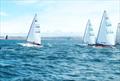 Contender open meeting at Castle Cove © Richard Bowers