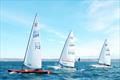 Contender open meeting at Castle Cove © Richard Bowers
