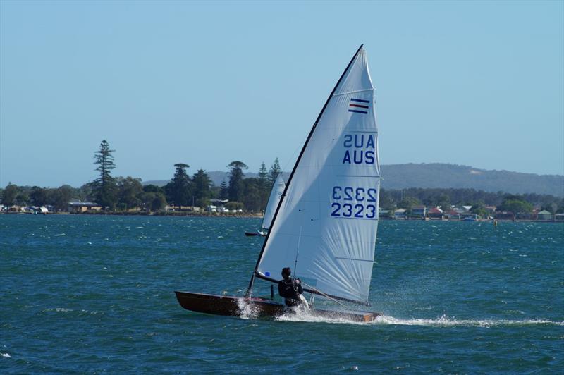 Contender World Championships at Lake Macquarie photo copyright Jantine Vogel taken at Belmont 16ft Sailing Club and featuring the Contender class