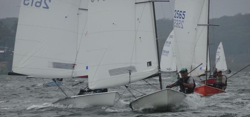 52nd Australian Contender Championship, day 3 photo copyright Kevin Phillips taken at Gosford Sailing Club and featuring the Contender class