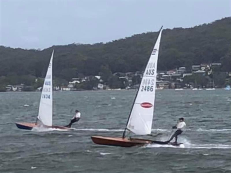 52nd Australian Contender Championship, day 4 photo copyright Tony Arends taken at Gosford Sailing Club and featuring the Contender class