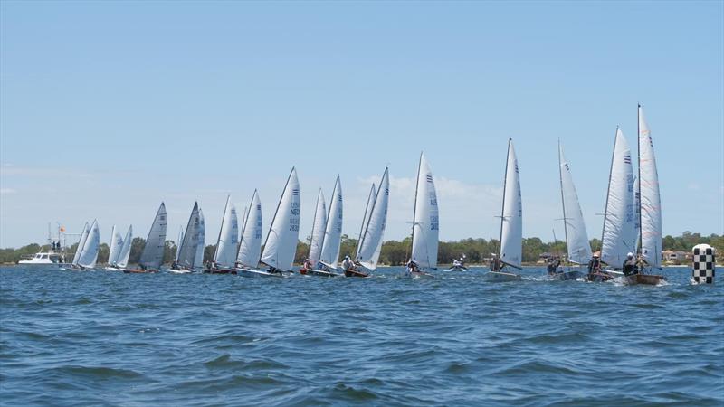 2023 Contender Worlds in Perth photo copyright Lindsay Preece, Ironbark photos taken at Royal Freshwater Bay Yacht Club and featuring the Contender class