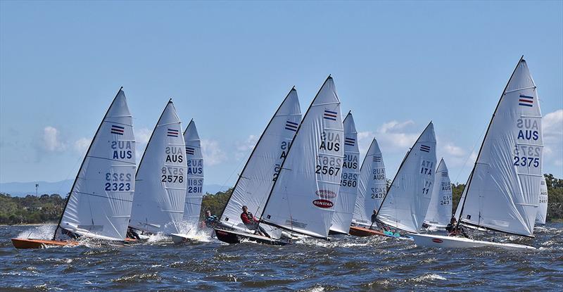 Contesing The Contenders photo copyright Gippsland Lakes Yacht Club taken at Gippsland Lakes Yacht Club and featuring the Contender class