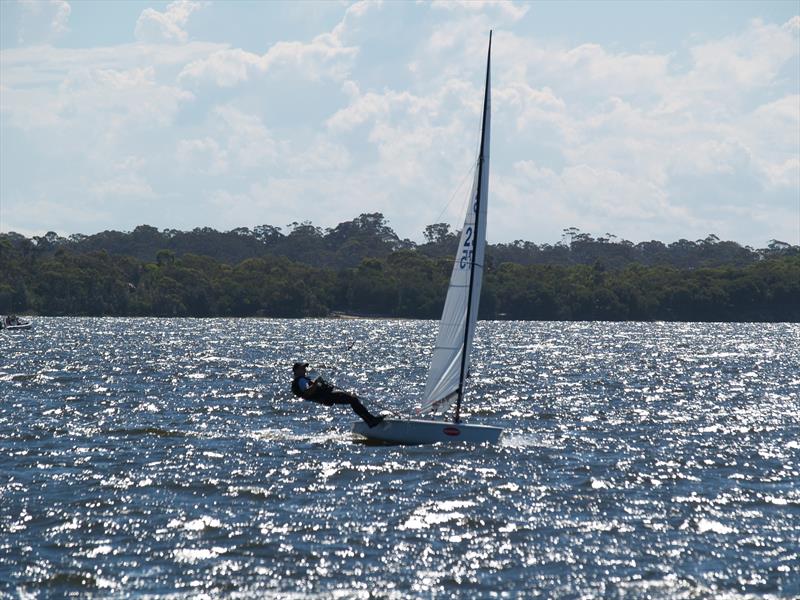 Victorian Contender State Titles 2024 photo copyright Mark Young taken at Blairgowrie Yacht Squadron and featuring the Contender class