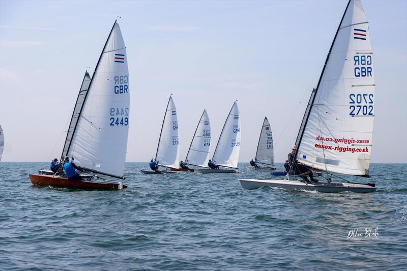 Contenders at Hayling Island photo copyright Ollie Blake taken at Hayling Island Sailing Club and featuring the Contender class