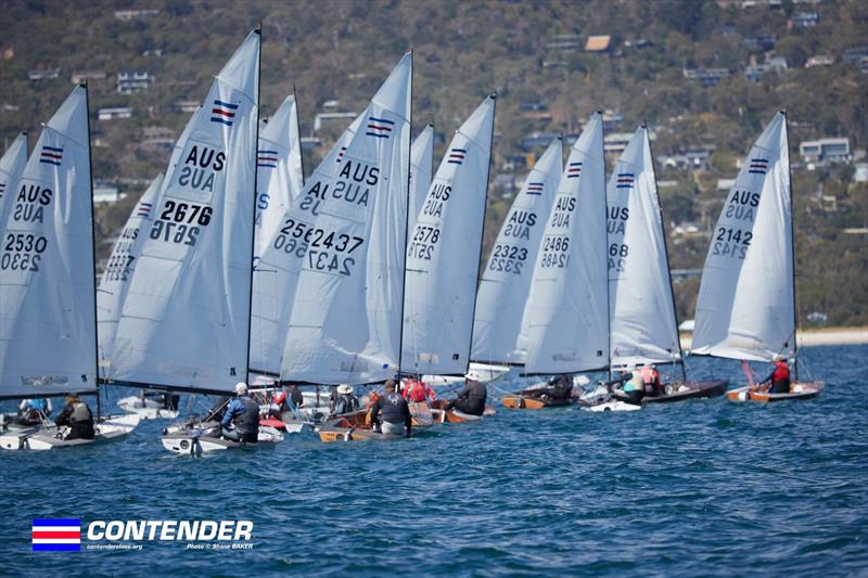 2025 Victorian Contender Class Championship - Day 1 photo copyright Shane Baker taken at McCrae Yacht Club and featuring the Contender class