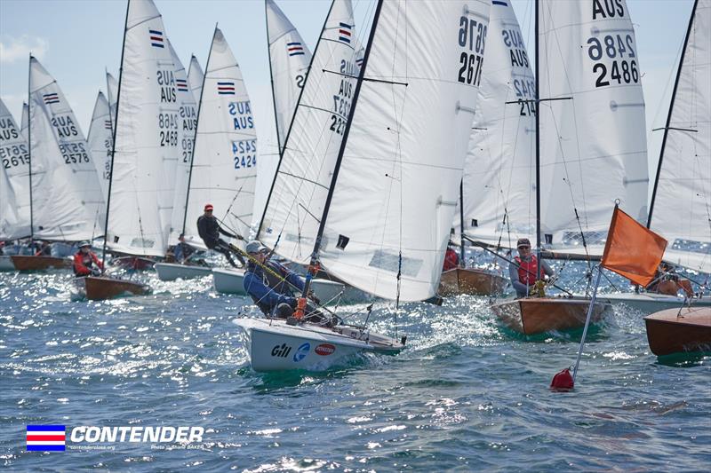 2025 Victorian Contender Class Championship - Day 1 photo copyright Shane Baker taken at McCrae Yacht Club and featuring the Contender class
