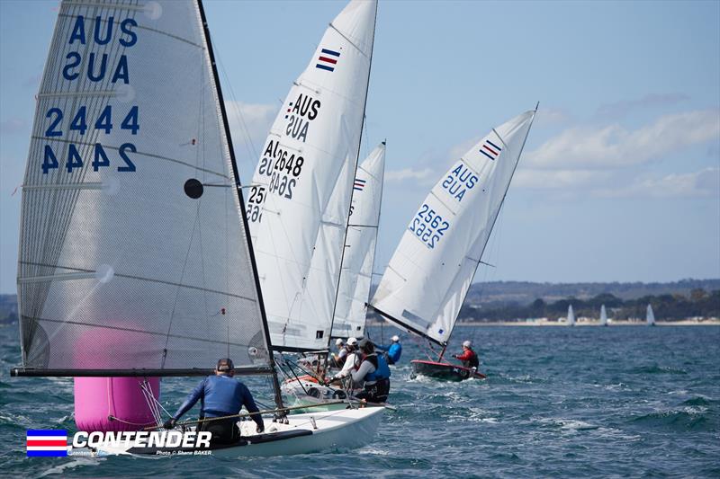 2025 Victorian Contender Class Championship day 2 - photo © Shane Baker