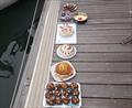 Contessa coastal race from Cowes to Poole and back (with unique onboard cake baking competition)