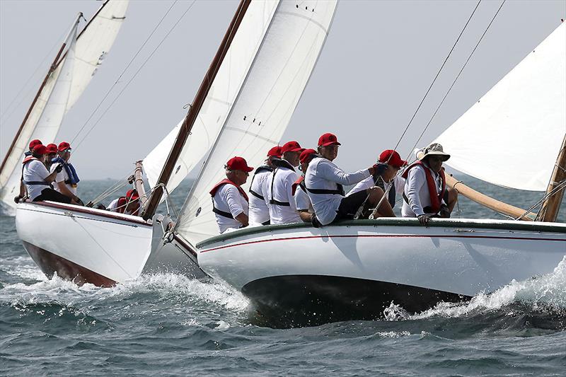 Its all about the red hats or is that protest flags? photo copyright A.J. McKinnon taken at Sorrento Sailing Couta Boat Club and featuring the Couta Boat class