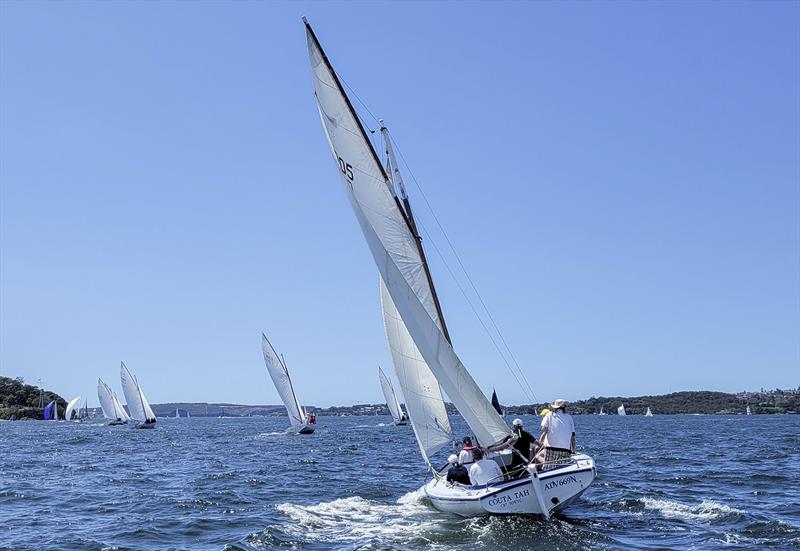 Sydney Couta Boat Week Couta Tah on Sydney Harbour photo copyright Couta Boat Association taken at Sorrento Sailing Couta Boat Club and featuring the Couta Boat class
