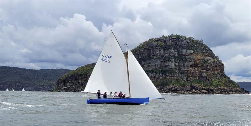 Sydney Couta Boat Week - Rip at Lion Island photo copyright Couta Boat Association taken at Sorrento Sailing Couta Boat Club and featuring the Couta Boat class