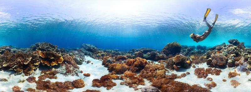 Snorkelling panorama - Bali National Park photo copyright The Cruise Village taken at  and featuring the  class