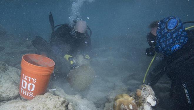 Divers working to triage coral by cleaning off dead sections and preparing fragments for reattachment. - photo © NOAA Fisheries