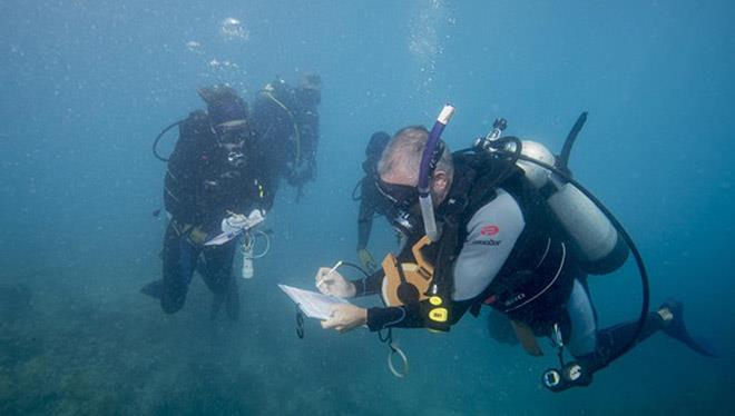 NOAA and partner divers recording data on coral damage assessment and response efforts at Mosquito Reef in Puerto Rico. - photo © NOAA Fisheries