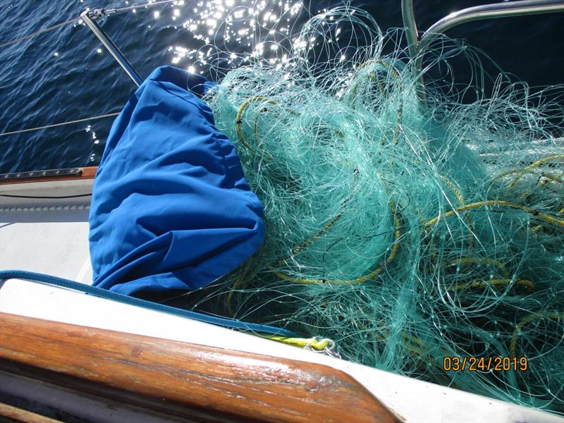 The worst of the issues was catching drift nets photo copyright Diane Cherry taken at  and featuring the Cruising Yacht class