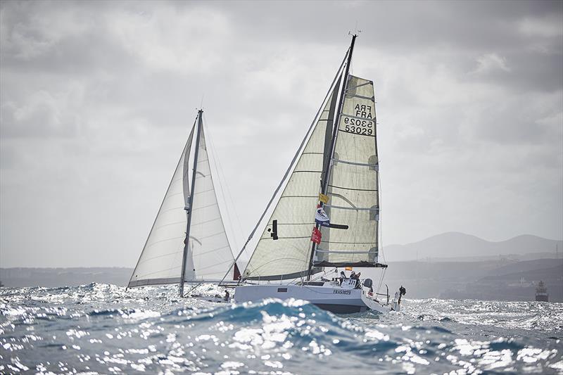 ARC  Rally - Pogo 36 ‘Amarys'  - photo © World Cruising Club / James Mitchell