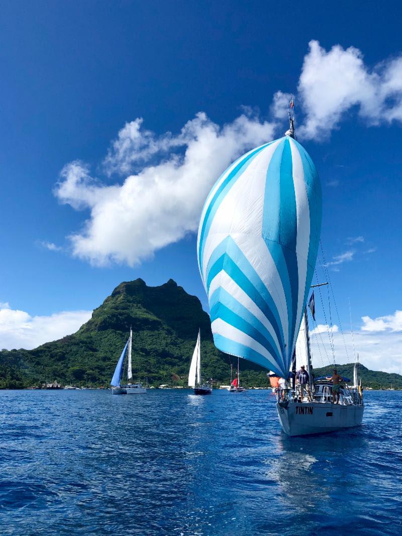 January sees the departure of the 2020 World ARC photo copyright World Cruising Club taken at  and featuring the Cruising Yacht class