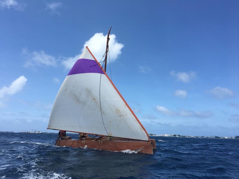 Mini Cargo Ferry photo copyright Harryproa taken at  and featuring the Cruising Yacht class