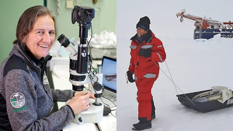 Carin Ashjian (left) at work studying Arctic Ocean zooplankton in her lab space on the German icebreaker Polarstern and commuting to work (right) at the `Ocean CIty` ice camp near the ship. - photo © Michael Gutsche, Alfred Wegener Institute / Serdar Sakinan, WHOI