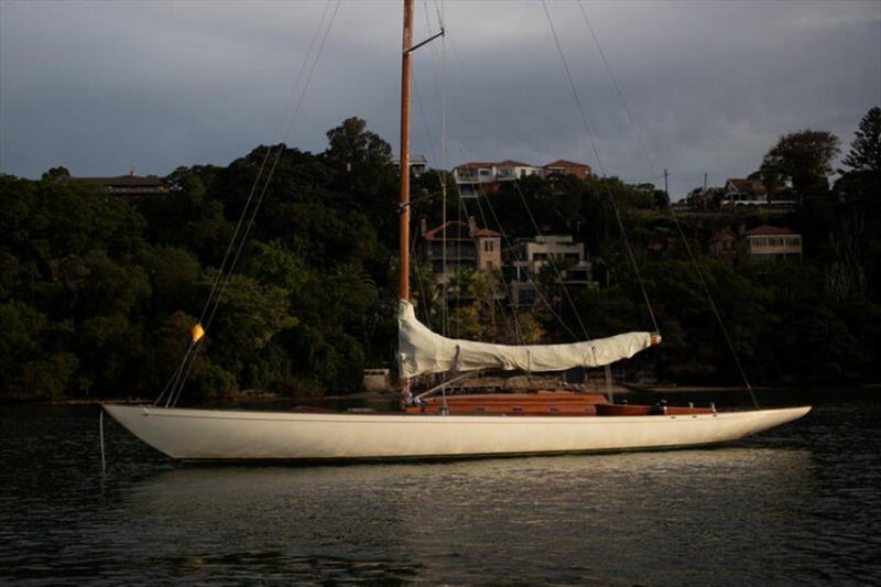 Plym Sydney Harbour 2017 - photo © Reimers collection / Swedish Maritime Museum