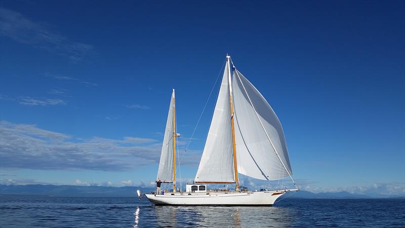 Irene under sail in Georgia Strait photo copyright Ginger Niemann taken at Changi Sailing Club and featuring the Cruising Yacht class