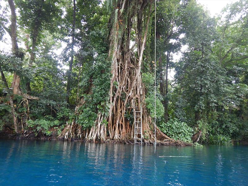 The Blue Hole on Nalaiafu River photo copyright Freedom and Adventure taken at  and featuring the Cruising Yacht class