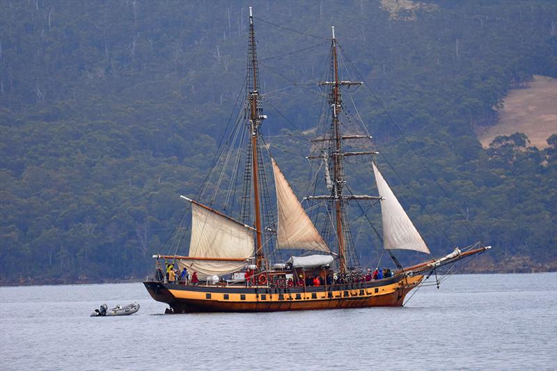 Australian Wooden Boat Festival 2023 - photo © Daniel Guajardo