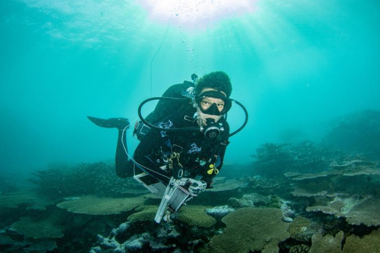 The National Coral Reef Monitoring Program depends on highly trained divers to conduct fish surveys across the Pacific photo copyright NOAA Fisheries / Jeff Milisen taken at  and featuring the Cruising Yacht class