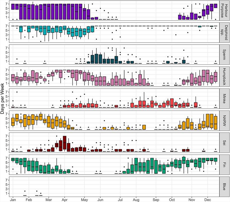 Weekly acoustic presence of eight cetacean species (NARW=North Atlantic right whale) and delphinid family at study sites that had 2 or more years of data. Boxplots represent the median number of days of acoustic presence per calendar week photo copyright NOAA Fisheries / Sofie Van Parijs taken at  and featuring the Cruising Yacht class