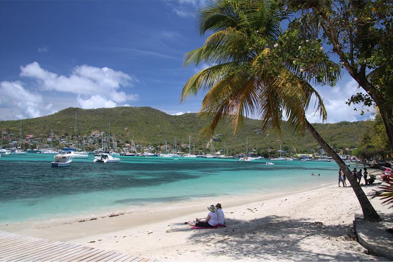 2025 Salty Dawg Caribbean Rally Webinar photo copyright Salty Dawg Sailing Association taken at  and featuring the Cruising Yacht class
