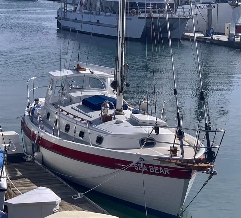 Ross Hubbard – SEA BEAR – Ta Shing Panda 38 (Gary Grant) photo copyright Global Solo Challenge taken at  and featuring the Cruising Yacht class