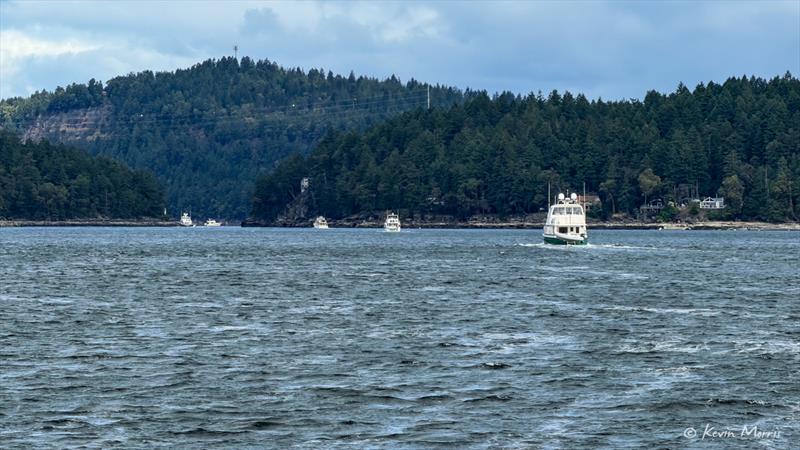 Dodd Narrows, L to R True Grit, Evenstar (Fleming), Kali, and Impulse - photo © Kevin Morris