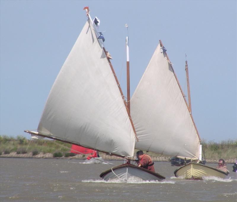 The 12th annual OGA 'Swamazons' race photo copyright Sue Feather taken at  and featuring the Classic & Vintage Dinghy class