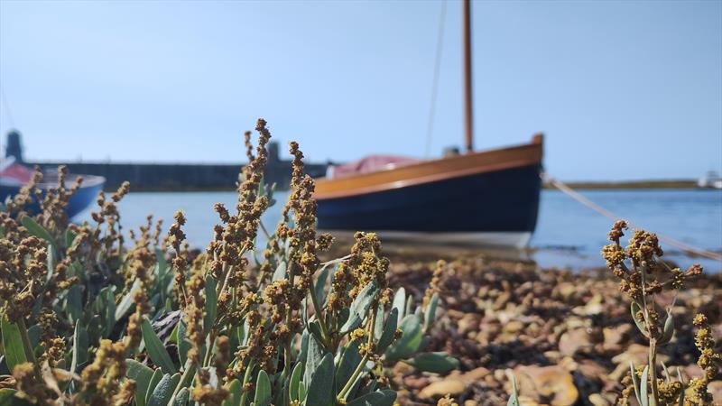 Wooden boat stage photo copyright Southampton International Boat Show taken at  and featuring the Classic & Vintage Dinghy class