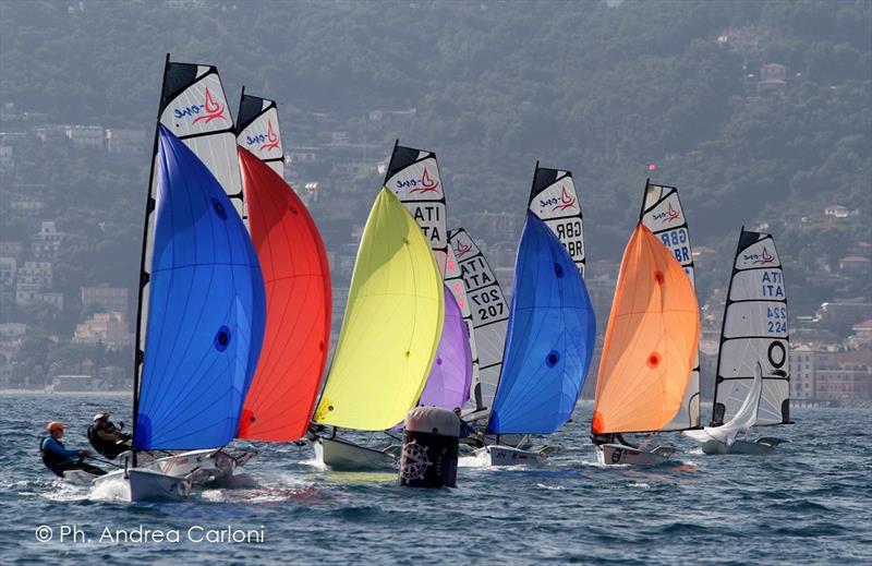 Day 4 of the D-One Gold Cup Alassio 2014 photo copyright Andrea Carloni taken at Circolo Nautico al mare Alassio and featuring the D-One class