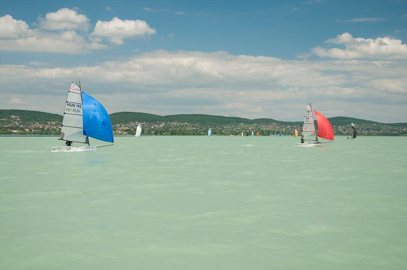 D One Rooster Gold Cup at Lake Balaton, Hungary - photo © Balatonfüredi Yacht Club