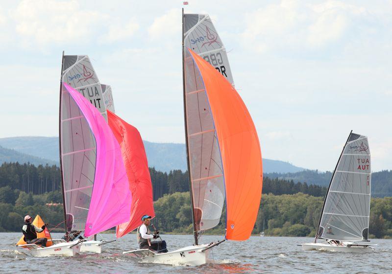 D-One Gold Cup 2020 at Lake Lipno photo copyright Adela Czerna taken at  and featuring the D-One class
