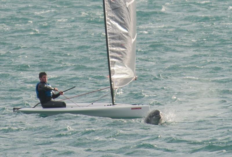 Kian Andrews battling winds nearly 40 knots, accompanied by Pierre the dolphin photo copyright Lottie Miles / Sailing Southwest taken at Penzance Sailing Club and featuring the D-Zero class