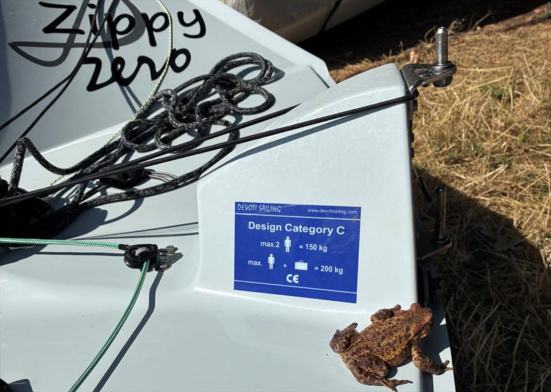 Toad inspecting the baggage allowance sticker on Zippy Zero - photo © Liz Potter