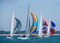 Aberdeen Asset Management Cowes Week day 7