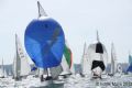 Darings on day one of Aberdeen Asset Management Cowes Week
