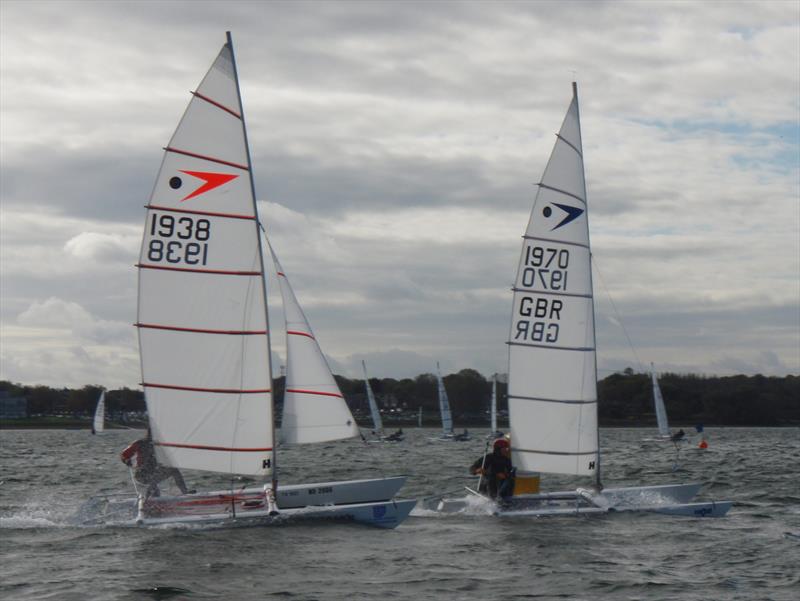 Sprint 15s at the Grafham Cat Open 2014 photo copyright David McNamee taken at Grafham Water Sailing Club and featuring the Dart 15 class