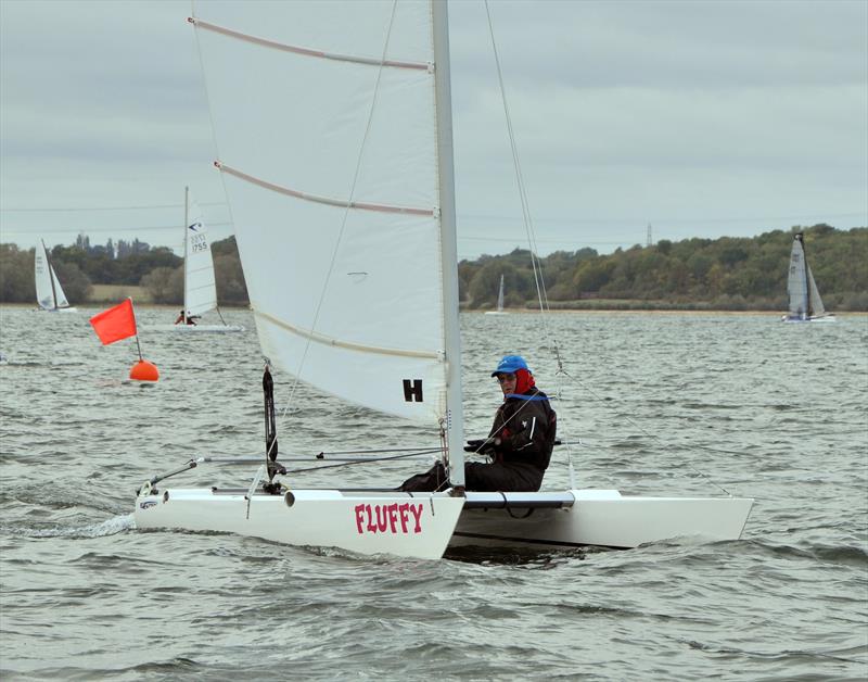 Grafham Cat Open 2019 photo copyright Nick Champion / www.championmarinephotography.co.uk taken at Grafham Water Sailing Club and featuring the Dart 15 class