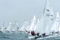 The fleet start at the Dart 18 Europeans © Royal Belgian Sailing Club