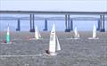 Dart 18 TT and Scottish Championship at Royal Tay &copy; Ed Thomson