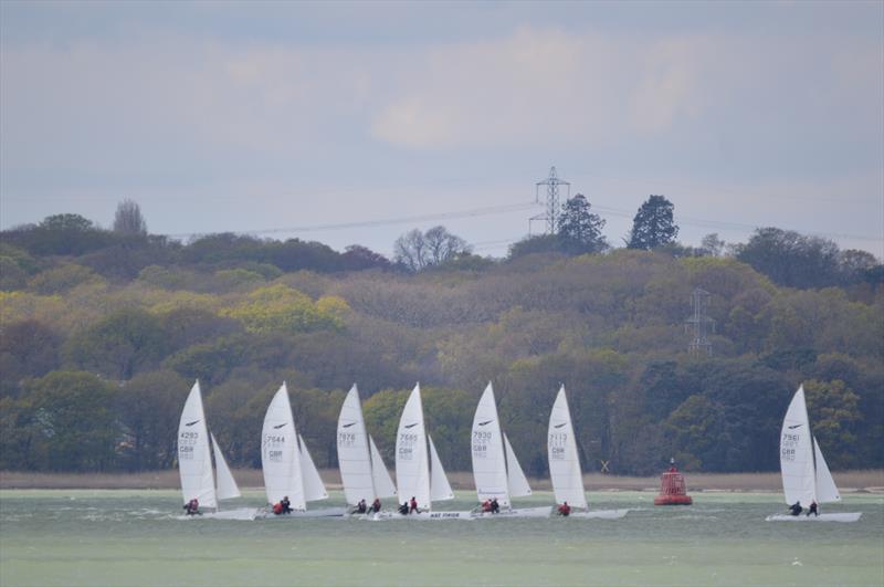 Dart 18 TT at Netley photo copyright Colette Hayes taken at Netley Sailing Club and featuring the Dart 18 class