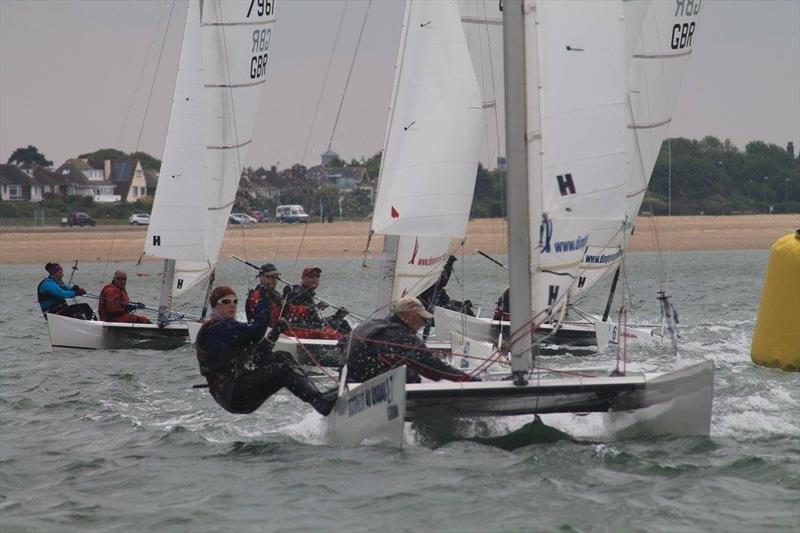 Dart 18 Nationals at Stokes Bay photo copyright Sarka Ngassa taken at Stokes Bay Sailing Club and featuring the Dart 18 class