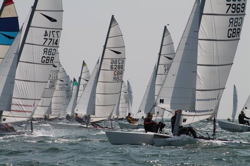 Dart 18 Nationals at Stokes Bay - photo © Sarka Ngassa