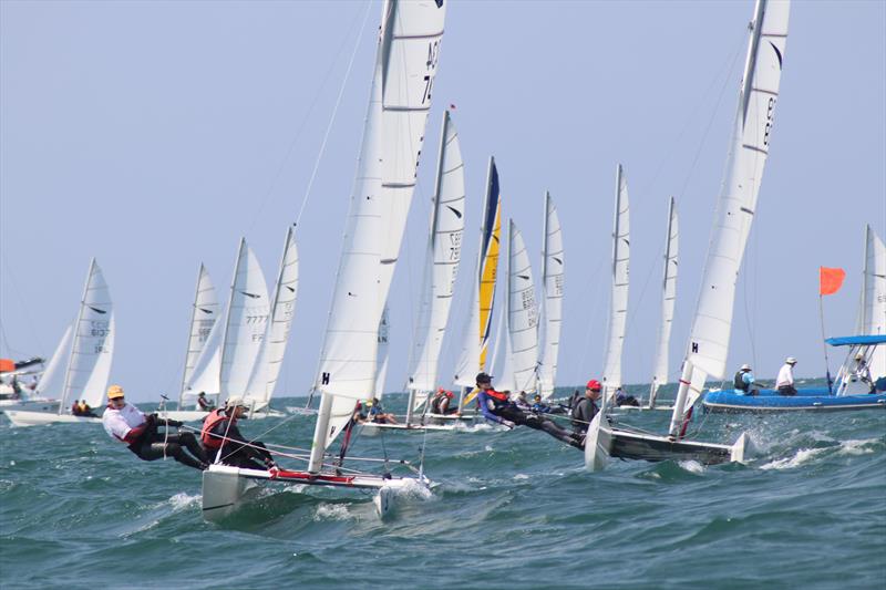 Dart 18 Worlds at Royal Varuna YC day 1 - photo © Sarka Ngassa